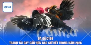 Đá Gà C168 - Tranh Tài Gay Cấn Hơn Bao Giờ Hết Trong Năm 2026