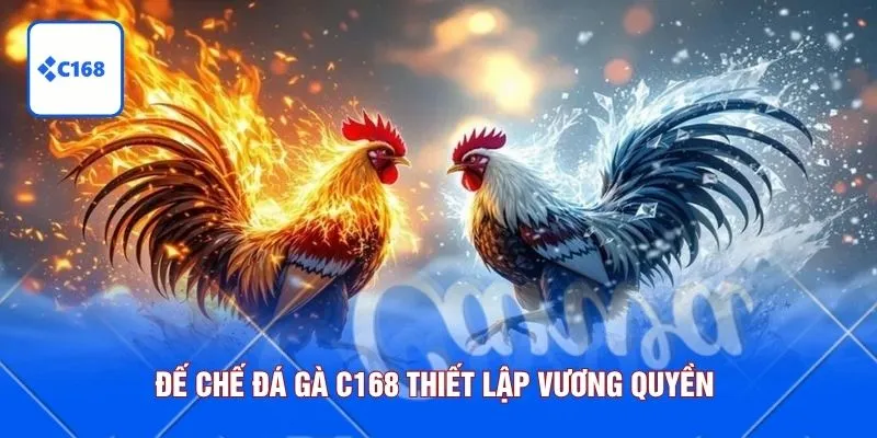 Đế chế đá gà C168 thiết lập vương quyền