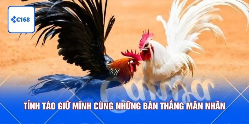 Tỉnh táo giữ mình cùng những bàn thắng mãn nhãn